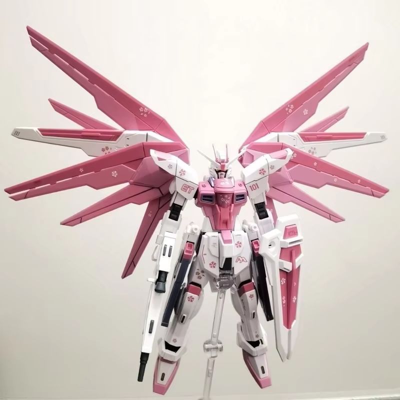 JMS HG 1/144 ZY-06 Freedom Ass - Bandai Model Gundam Hg 评论和价格